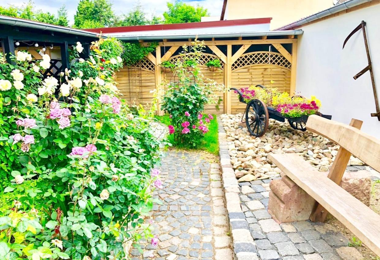 Ferienwohnungen Grimma 3 Ngoại thất bức ảnh